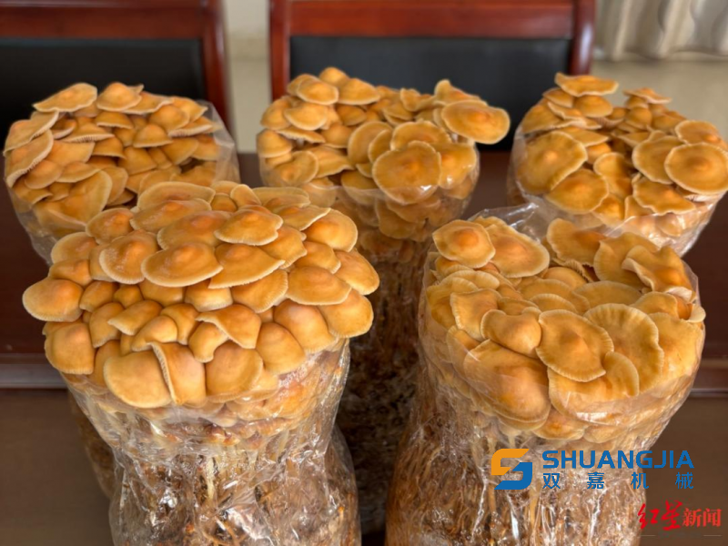 14-12-50-28-283825 (1).png